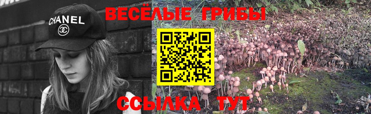 Галлюциногенные грибы GOLDEN TEACHER  Вход с VPN  Ленинск-Кузнецкий 