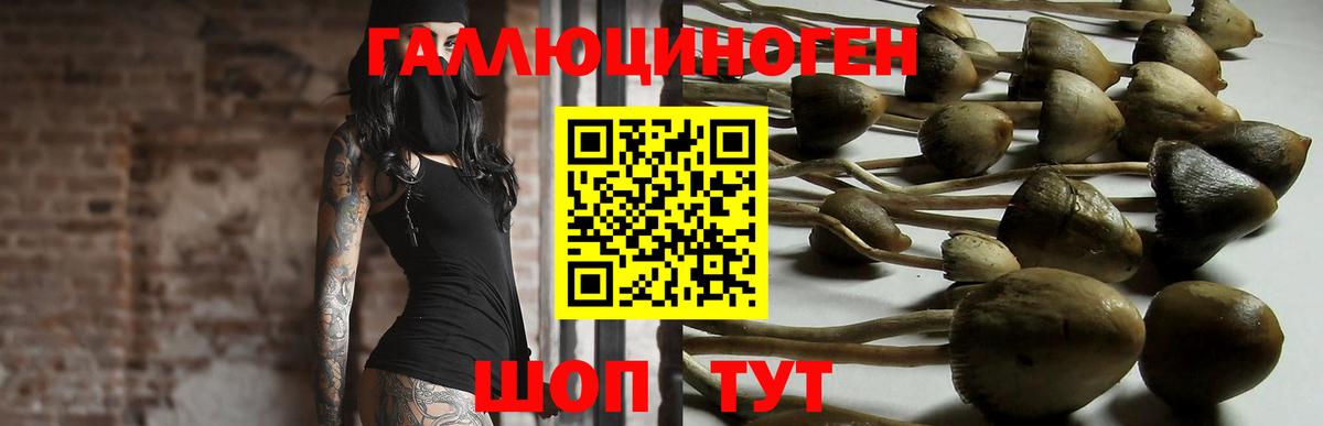 Галлюциногенные грибы мицелий Ленинск-Кузнецкий